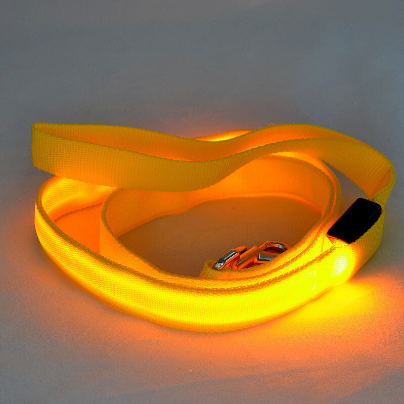 Glowing Pet Leash Glowing Dog LED Emporium Discounts Orange Light night