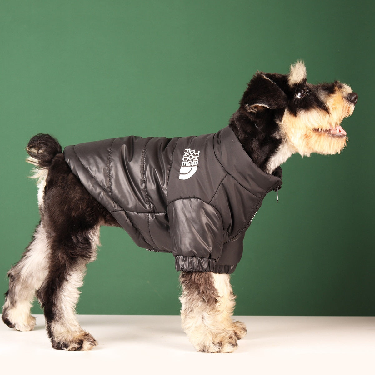 Warm Fashionable Dog Jackets Emporium Discounts