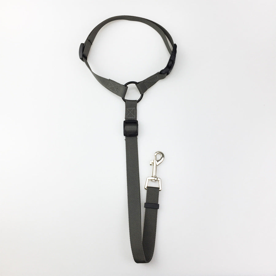 Pet safety leash Come In Different Colours