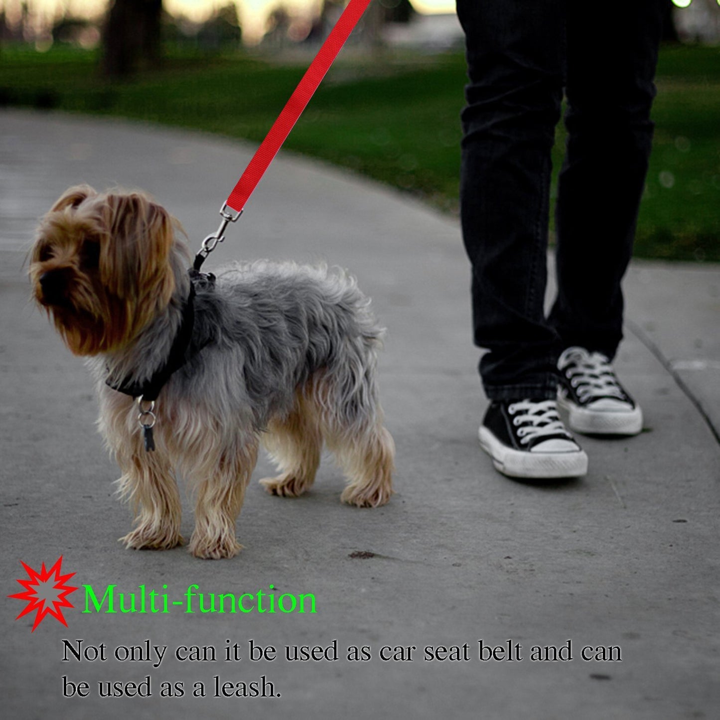 Pet safety leash Come In Different Colours Red