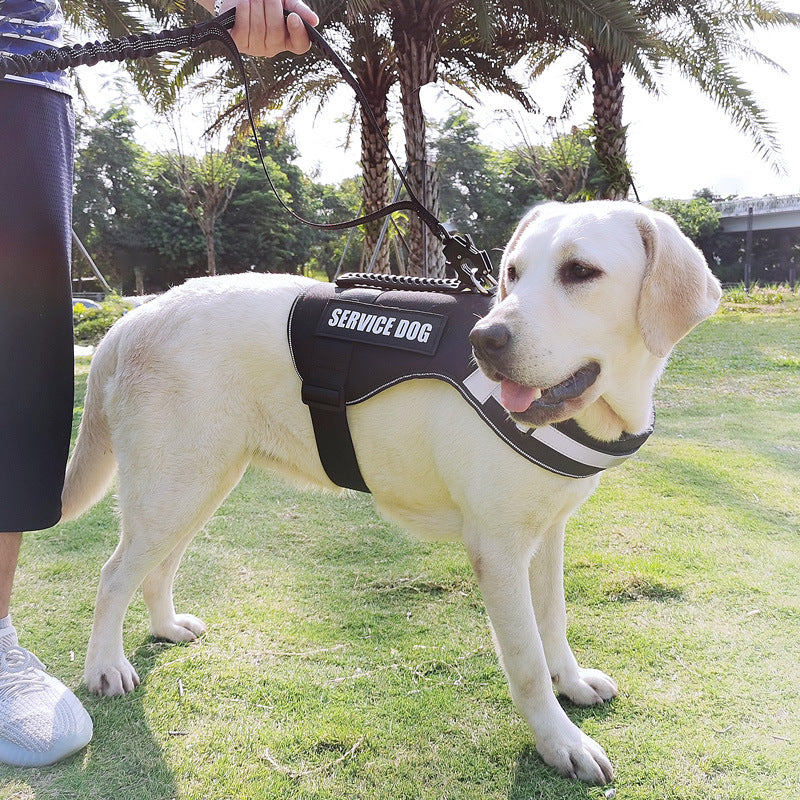 Pet Supplies New Frog Buckle Dog Leash Medium And Large Dogs Cushion Anti-Storm Nylon Anti-Escape Traction Rope Emporium Discounts 5 Daily Products Or Gadgets Per Day